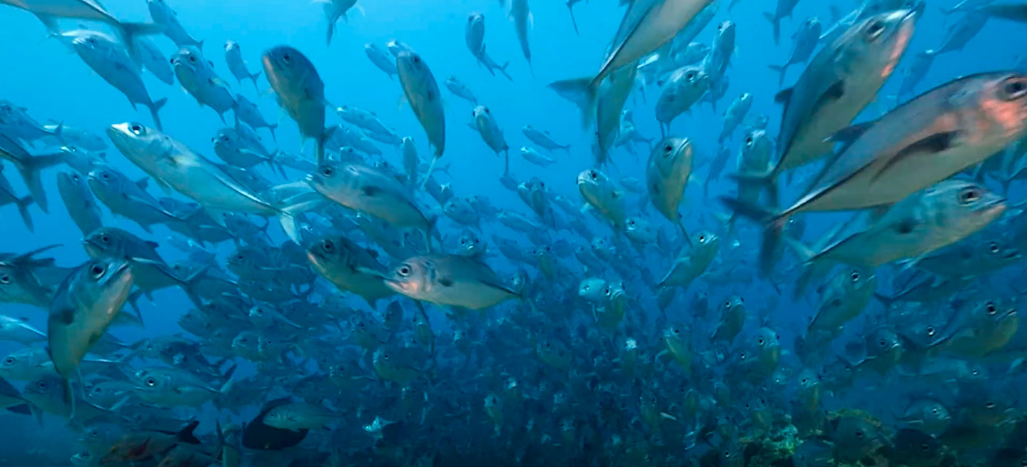 匆匆十年,匆匆十年再相聚