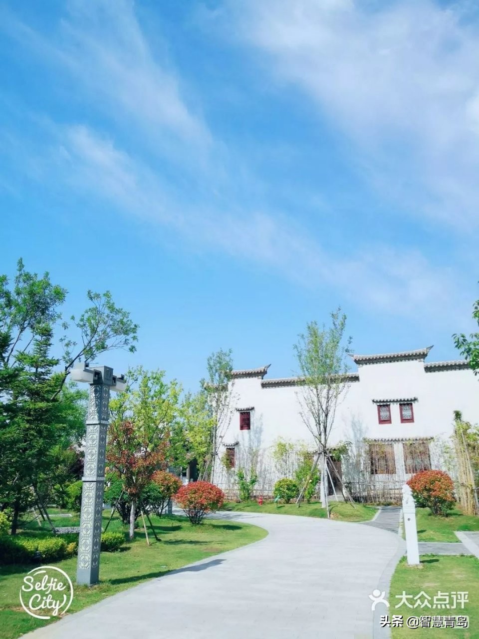 青岛威海烟台夏天哪个凉快,青岛夏季游玩攻略大全