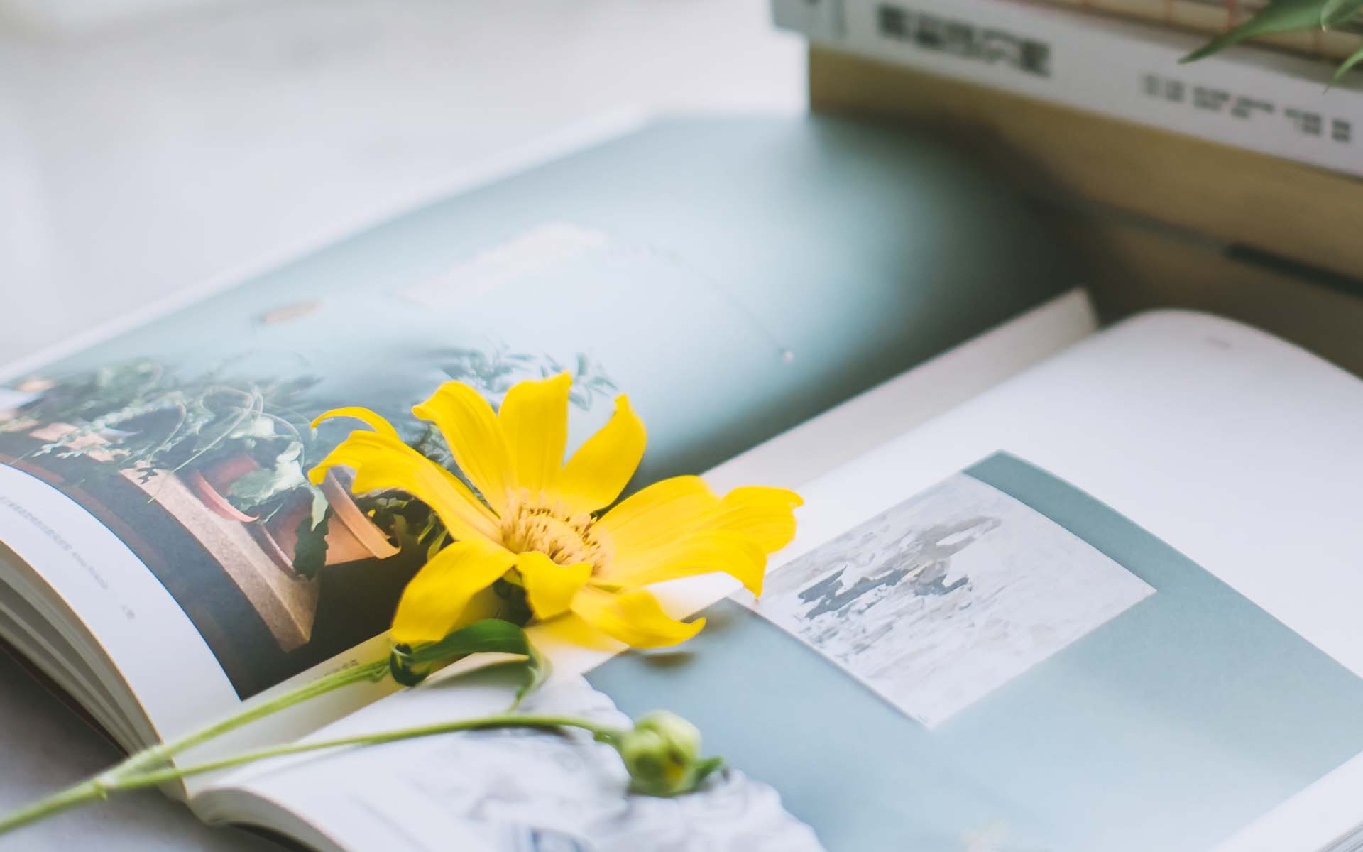 活得通透人都懂得不为难自己,不为难自己也许是最好的生活状态