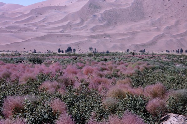 徒步穿越巴丹吉林沙漠路线,穿越巴丹吉林沙漠四日游