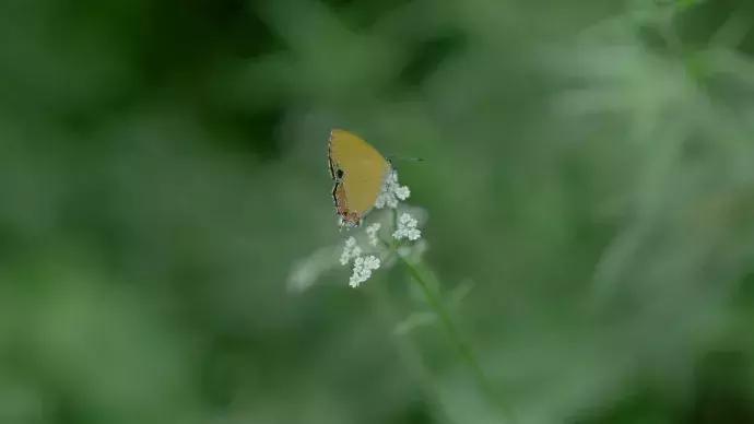 一日慎独则心安日日精进,日日精进人生