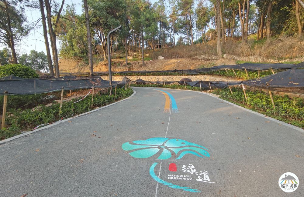 临平体育馆改扩建有篮球场吗,体育公园篮球场施工