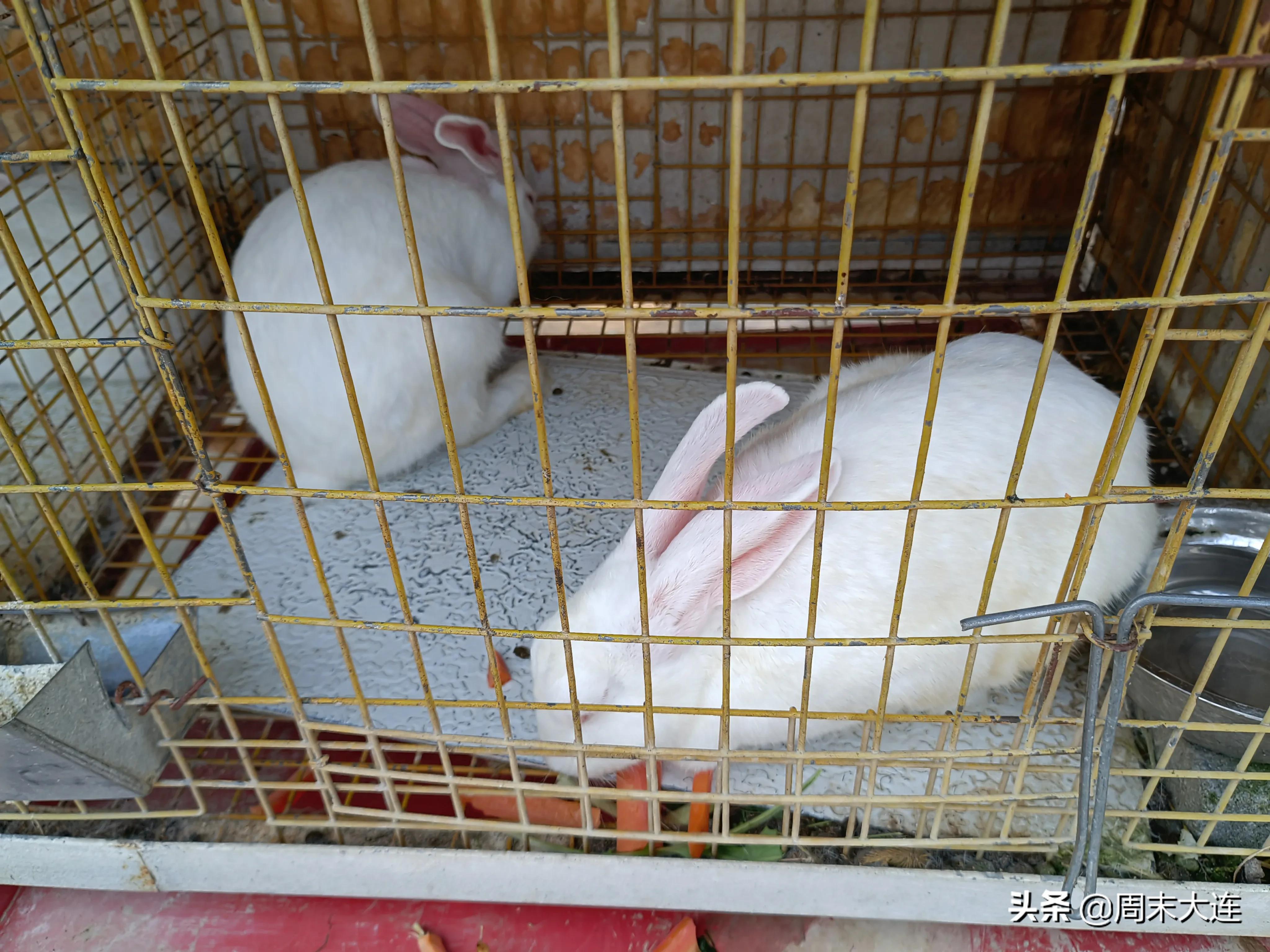 铭湖牧场是哪,铭湖牧场简介