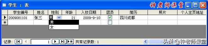 使用表单控件创建图表,使用视图设计器创建视图