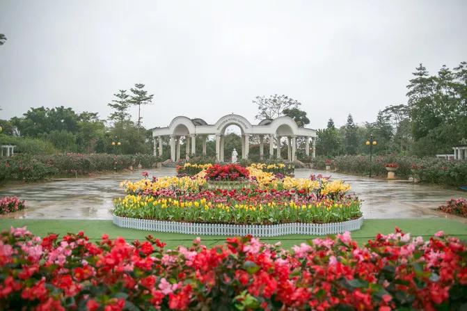 偷偷告诉你驴友们常去的从化小众特点小镇~比森林公园更美更好玩