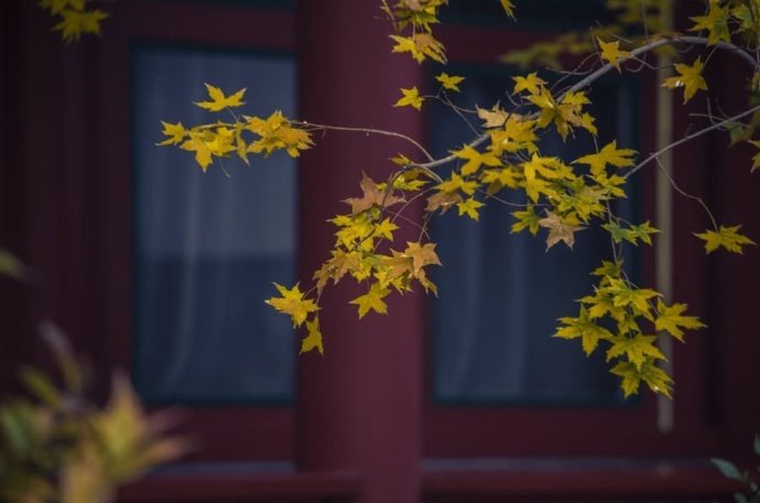 万壑千岩锁翠烟赏析,万壑千岩图片