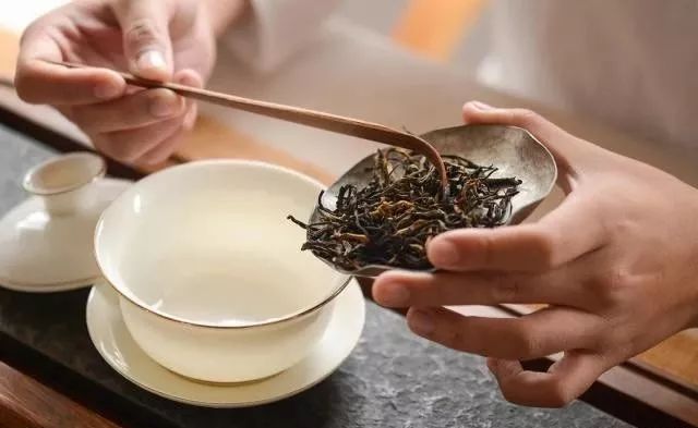 最全入门茶知识这一篇就够了,最全中国茶基础知识学茶必备