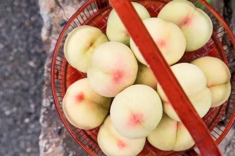 无锡水蜜桃几月上市,正宗无锡阳山水蜜桃