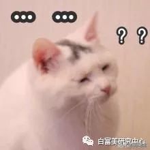 北京小公主靠吸猫血成百万大V，直播整容、大照骗、2年养死3只猫