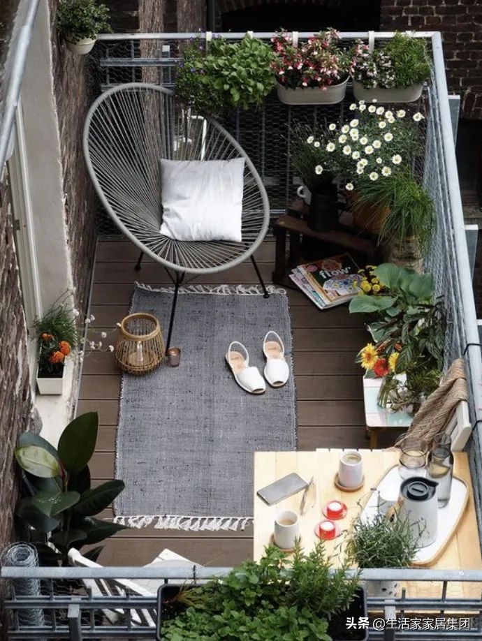 装修极简主义的室内植物搭配,家居植物现代风推荐