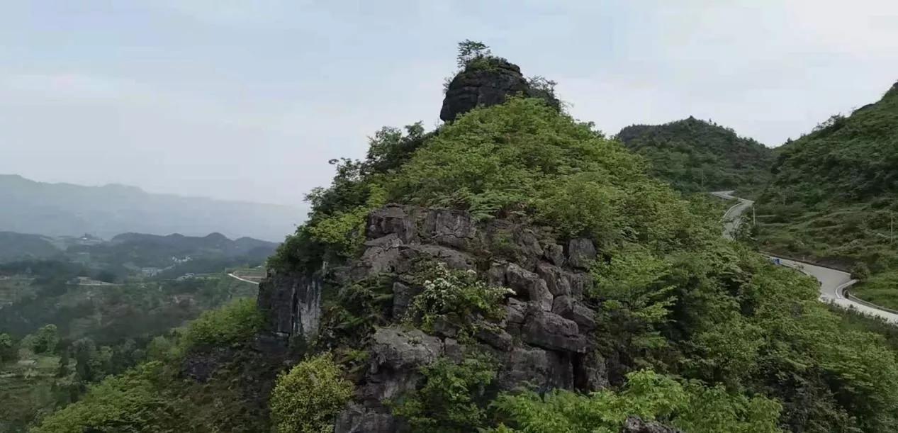 挖掘历史文化资源打造地方特点,挖掘黄河文化讲好故事