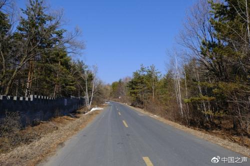 削山造地千亩建别墅被拆除,生态公益林违建