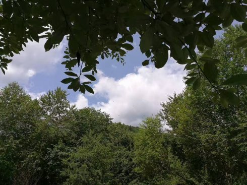 孕吐难受无计可施？准妈妈和胎宝宝都在经历哪些困境？