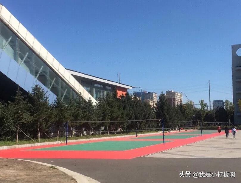 长春职业技术学院院长,长春职业技术学院伤人事件