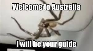 南方蟑螂和北方蟑螂对比恶搞,南方大蟑螂吓哭北方人