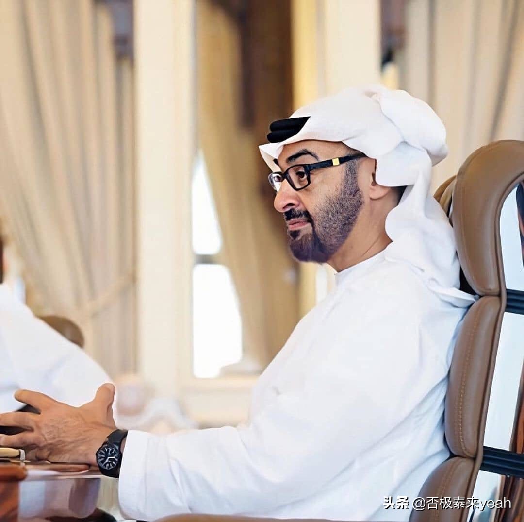 阿联酋最高统治者,阿联酋最高统治者国王