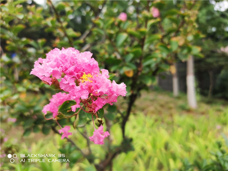 小米黑鲨三评测,小米游戏手机黑鲨3
