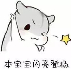 安排！亲子游必打卡：达芬奇IN成都、虫虫总动员、澳大利亚树皮画