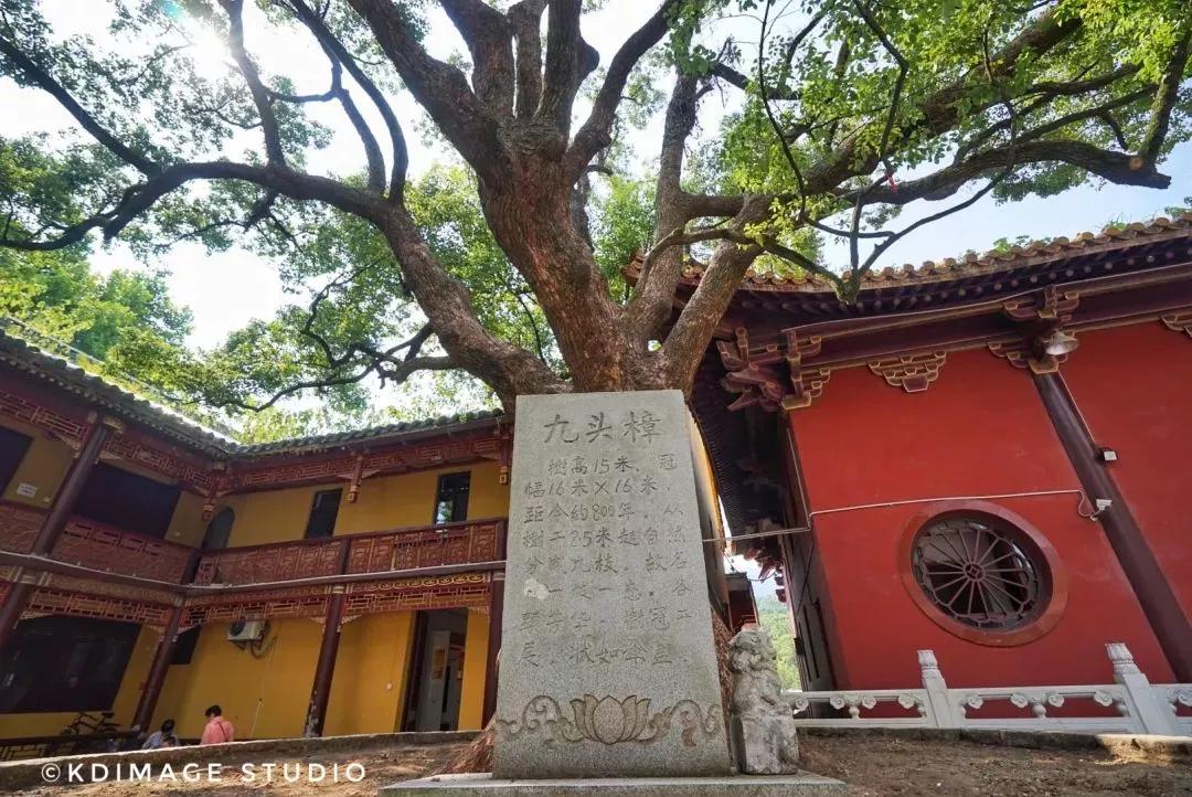 东林寺，一个不小众的地方，但真正懂它的人却很小众