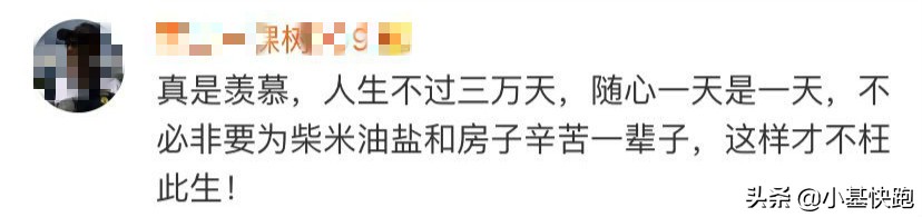 放弃指数定投的原因,放弃定投后悔吗