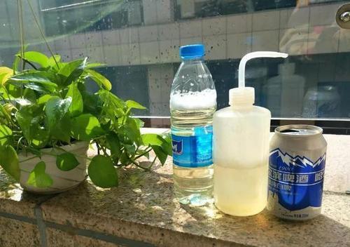 养绿萝牢记这4种方法疯长不停,绿萝怎么养才能发新枝快