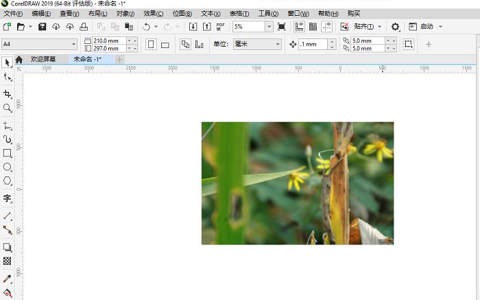 如何打开cdr格式图片,手机怎么打开cdr格式的文件