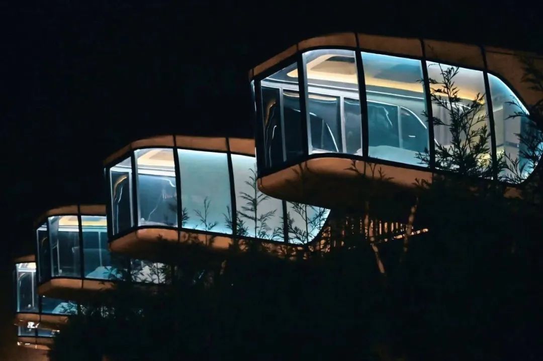 彭州太空舱营地,成都熊猫森林太空舱民宿