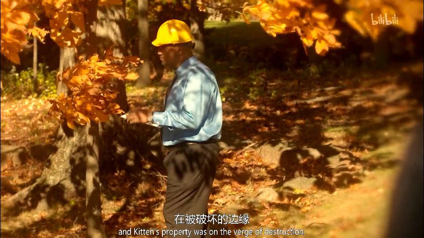 这些暴富故事，看得我心肌梗塞