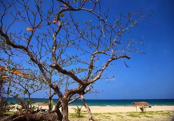 缅甸是一个让人着迷的地方,缅甸这个国家的特点
