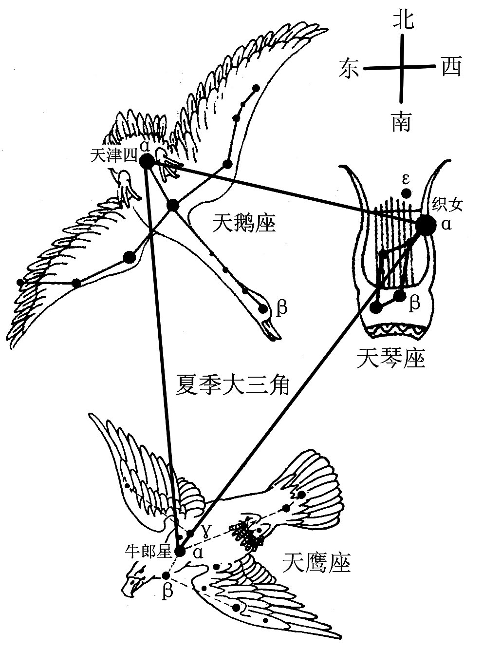 花红易衰似郎意水流无限似侬愁,花红易衰似郎意