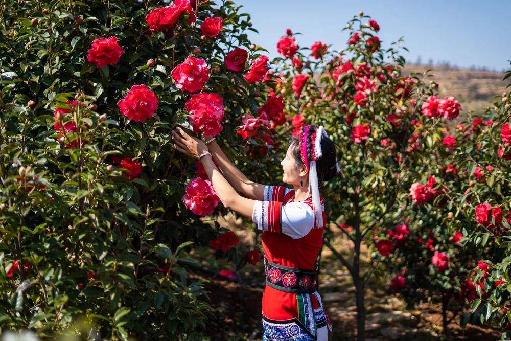瞧！这花花世界谁不爱