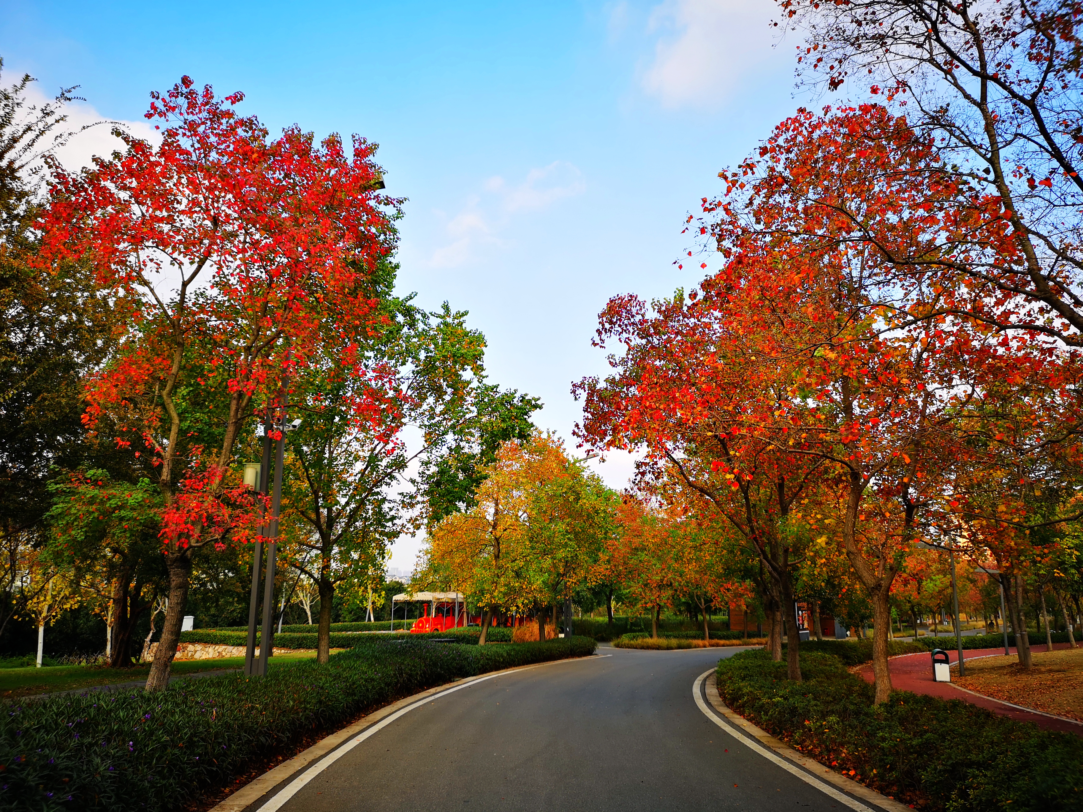 沉睡的历史与惊艳的现实——走读东西湖