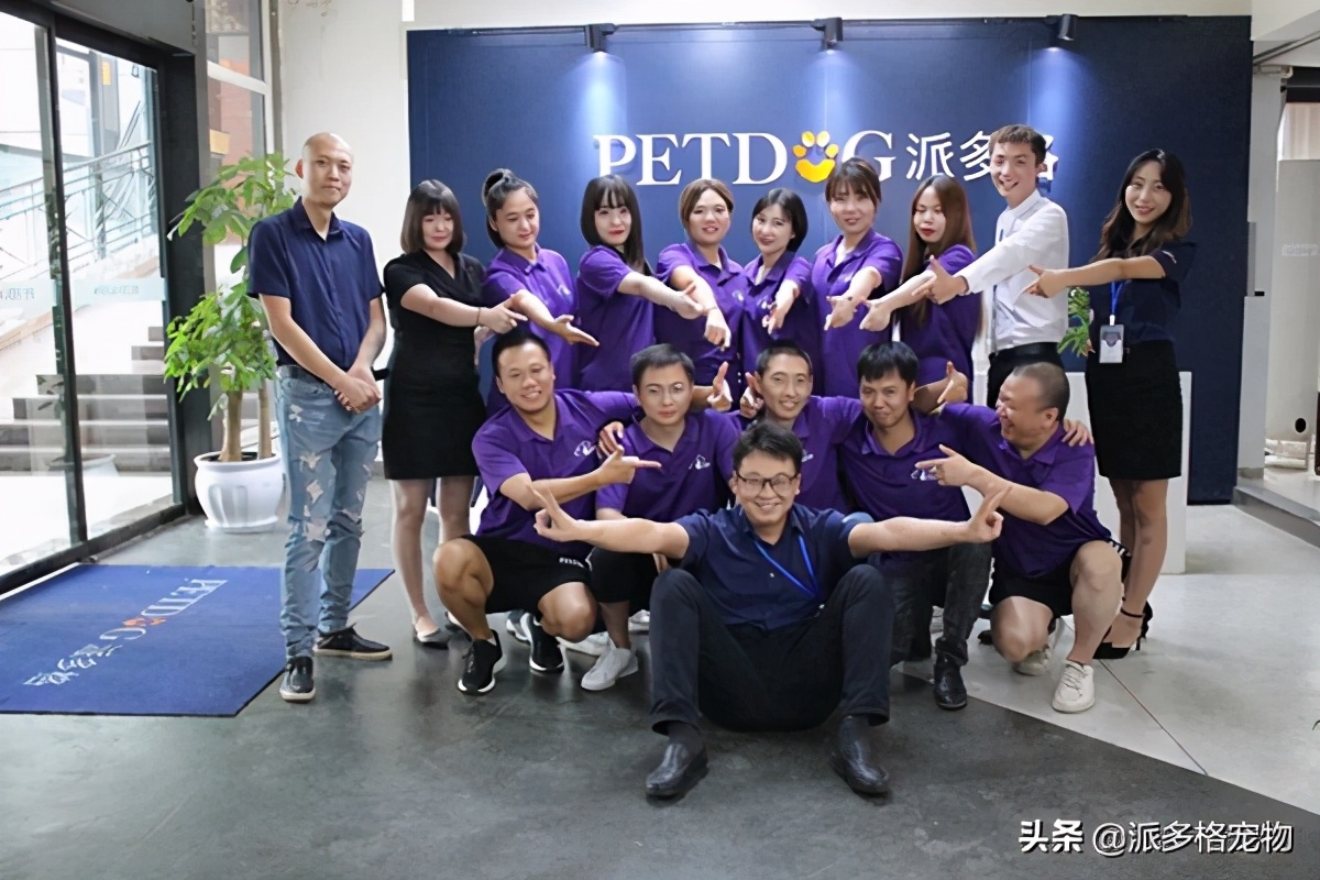 派多格宠物城,派多格宠物市场