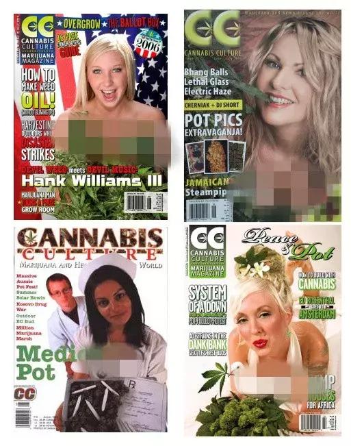 加拿大是怎么成为发达国家的,加拿大是怎么成为一个国家的