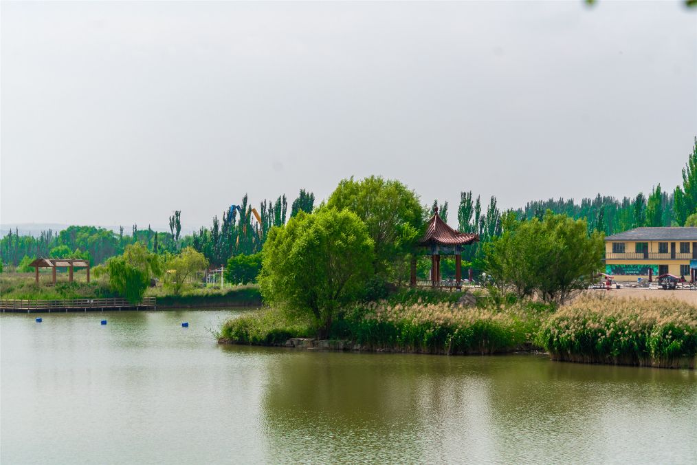 她是滔滔千里黄河的宠儿，阴山之下、河套之上的掌上明珠