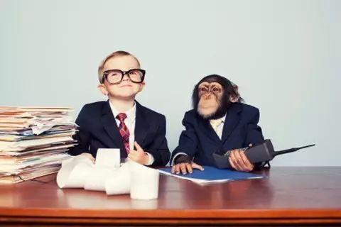 物理和数学谁才是理科之王,物理好数学不好是什么原因