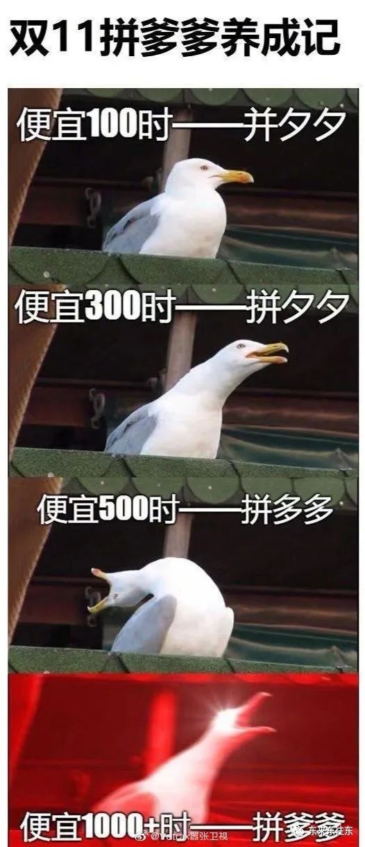 拼多多运营模式新手容易上手,关于拼多多新手商家的运营思路