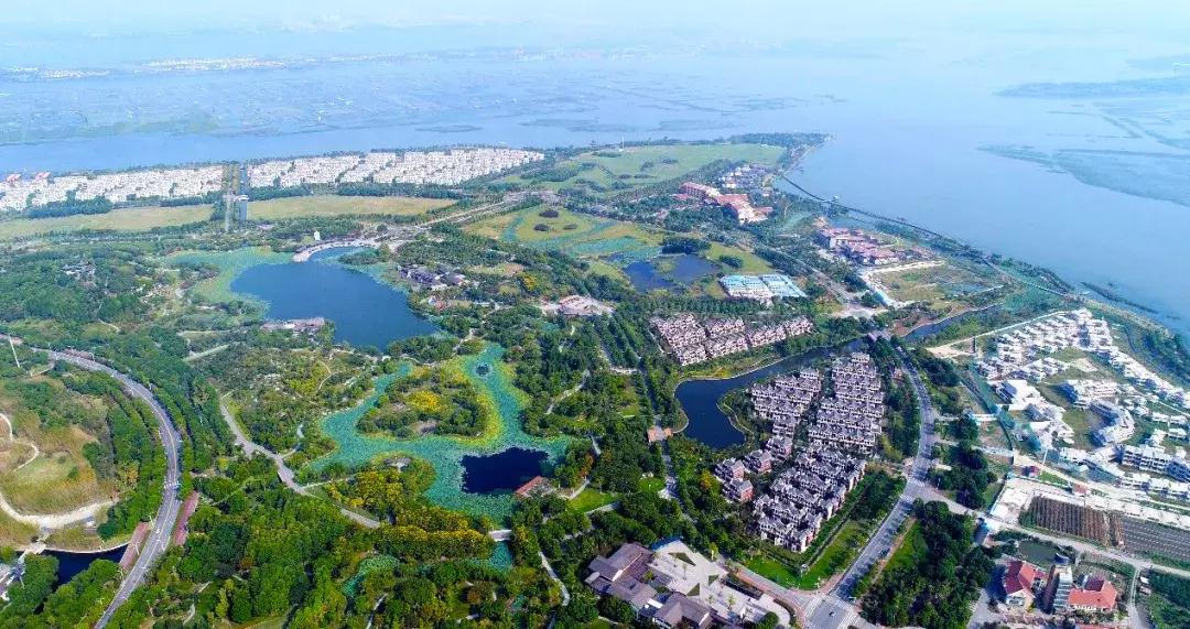 大闸蟹有必要买阳澄湖的吗,大闸蟹为什么阳澄湖出名