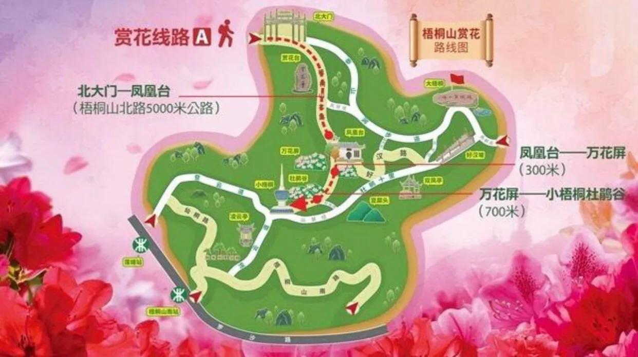 深圳花海公园地址在哪里,深圳中心河公园花海