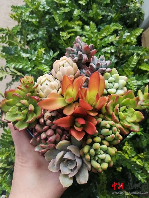 ISQS|全课程的魅力！国小学生在《秘密花园》中寻找成长的魔法！