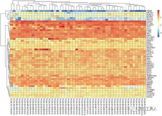 生信分析热图用什么绘制,生信分析r语言生成的图在哪里