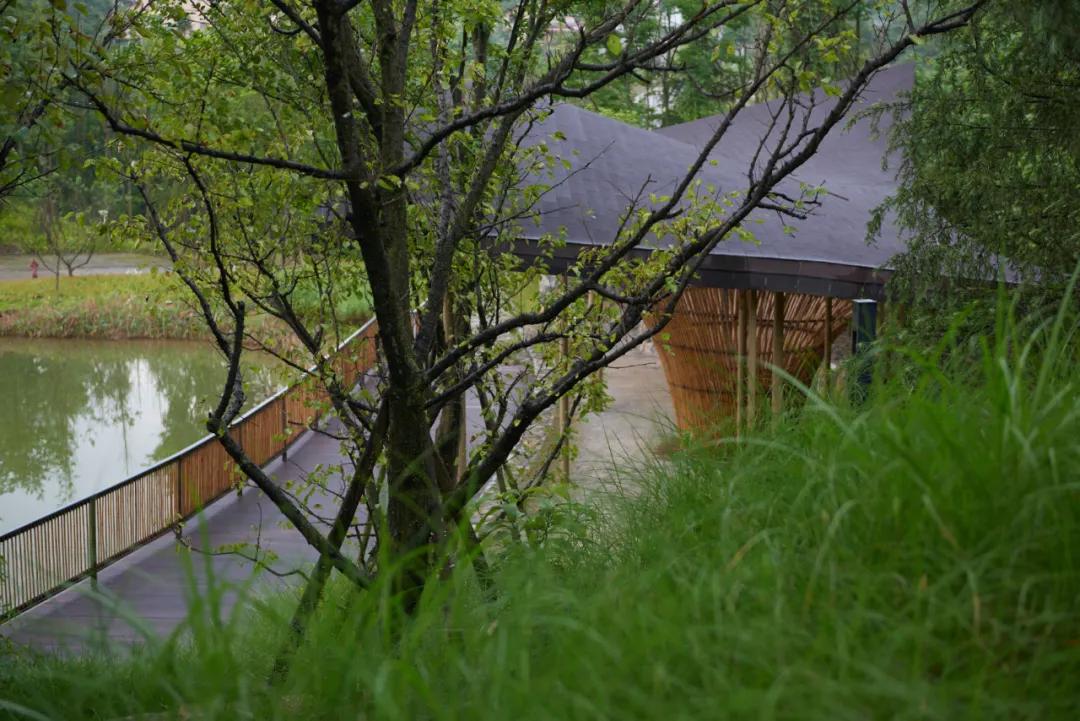 静谧乡野的休闲公社丨重庆仙女山归原茶亭/纬图设计机构