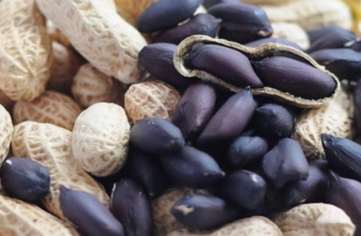 农村种植什么最赚钱投资小见效快,在农村有几亩地种植什么最赚钱