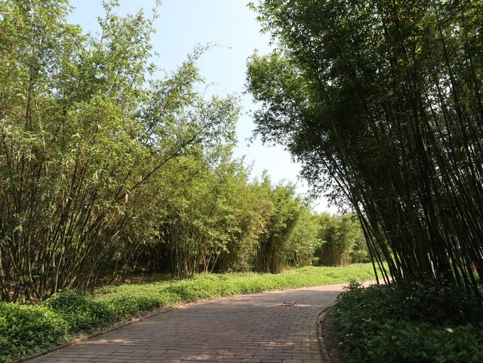 错过救赎山，还有彩虹山，手把手教你把漳州火山岛玩成假装在国外