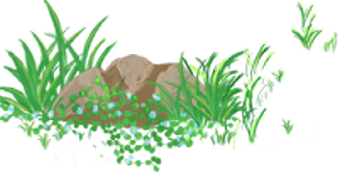 明前君山银针黄茶,为什么君山银针是黄茶