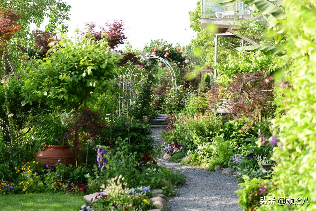 赶尽杀绝，花园里最痛恨的虫子|园丁