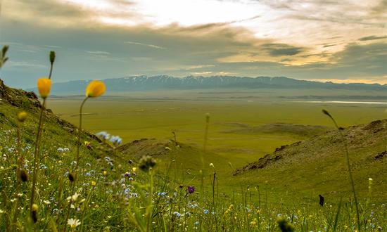塔城最好旅游季节,塔城好去处