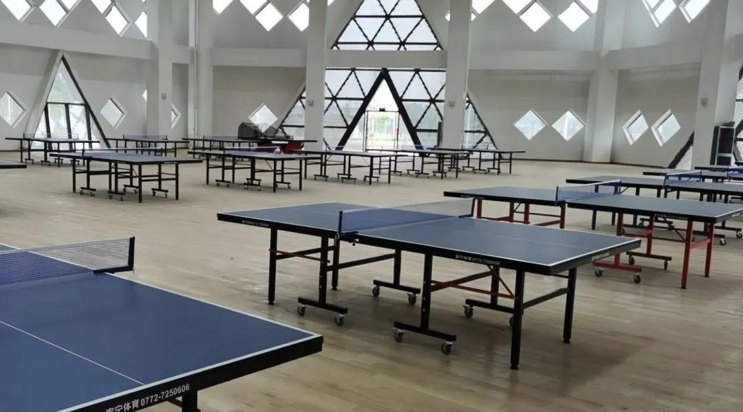 柳州鱼峰体育馆,鱼峰体育园什么时候建好