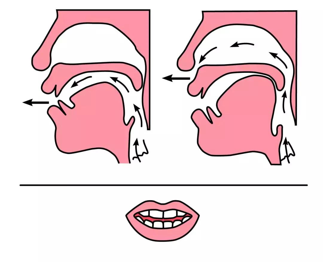 小学前鼻音后鼻音平舌音讲解,小学前鼻后鼻音区分练习