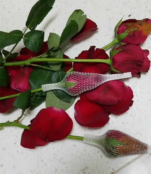 花徒日记：花店一件代发挣钱吗？请各位店主谨慎选择